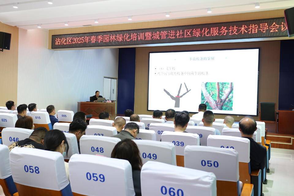 沾化區(qū)春季園林綠化工作培訓(xùn)暨社區(qū)綠化服務(wù)技術(shù)指導(dǎo)會召開:園林綠化
